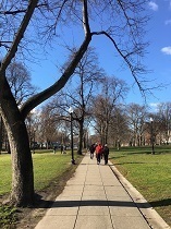 アメリカ最古の都市公園 ボストンコモン アイススケート ボストン生活